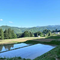 画像286