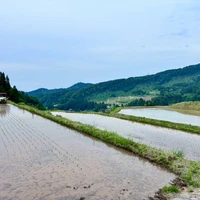 画像289