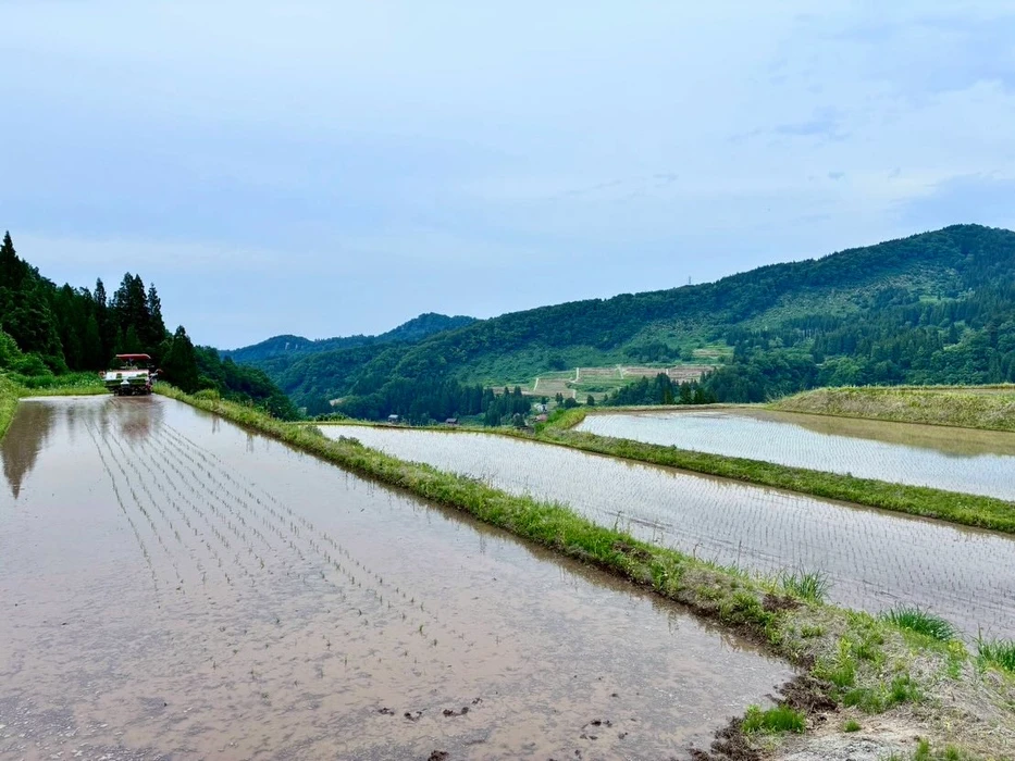 画像289