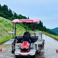 画像290