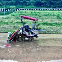 画像291