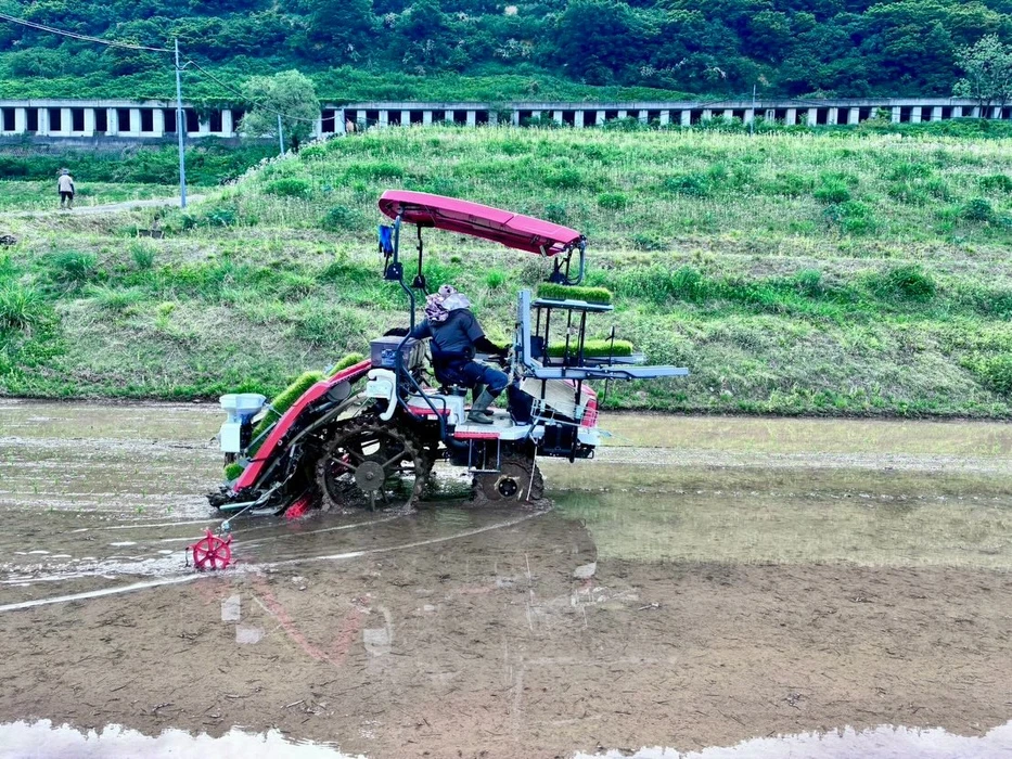 画像291