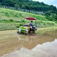 画像292