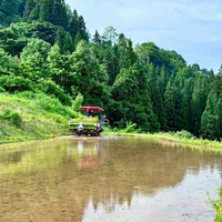 画像293