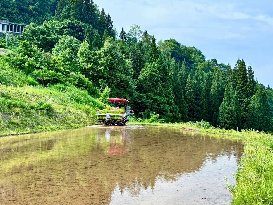 画像293
