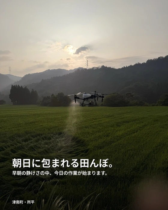 画像390