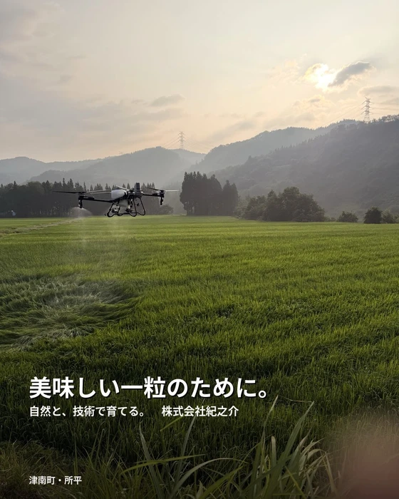 画像392