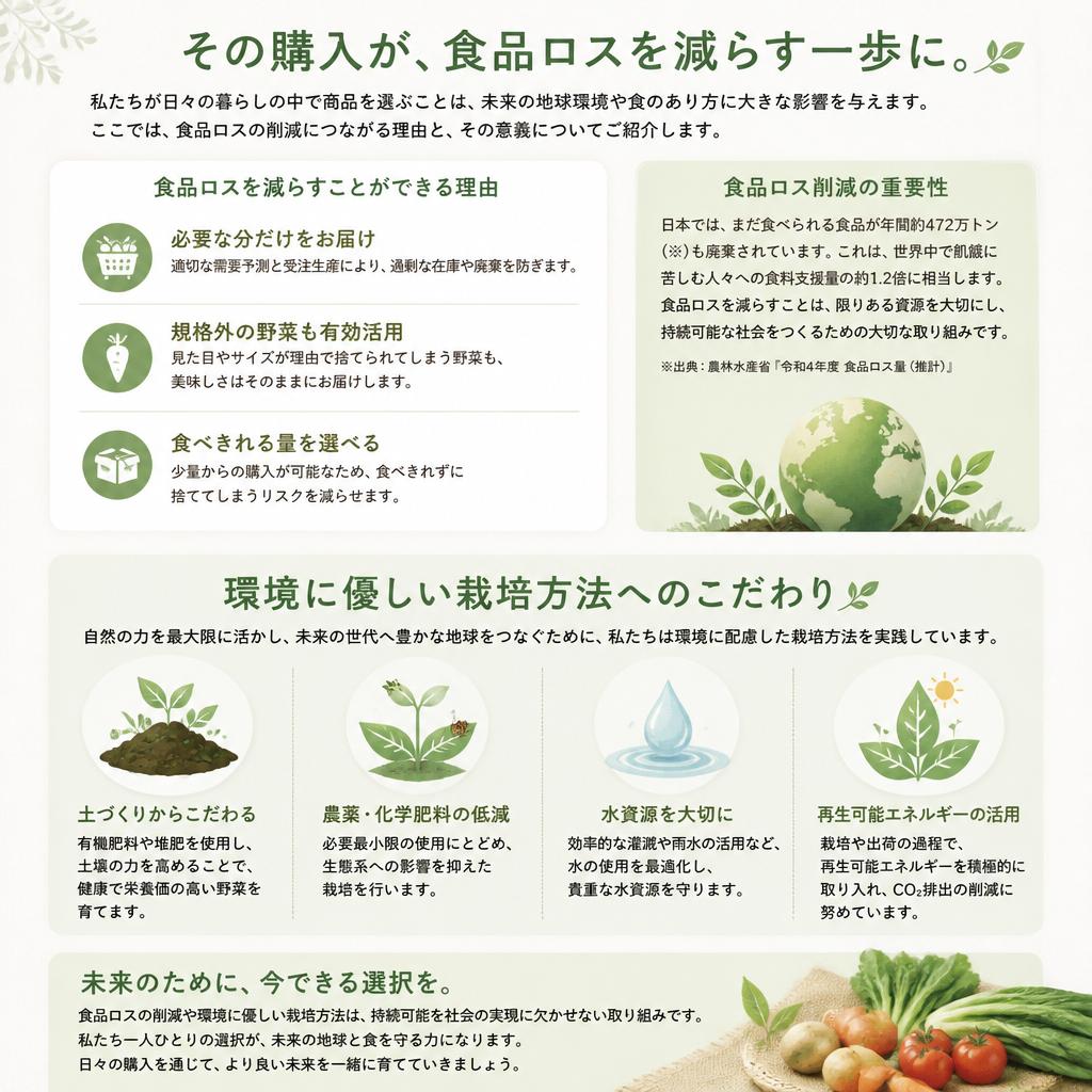 5. 食品ロス問題への貢献